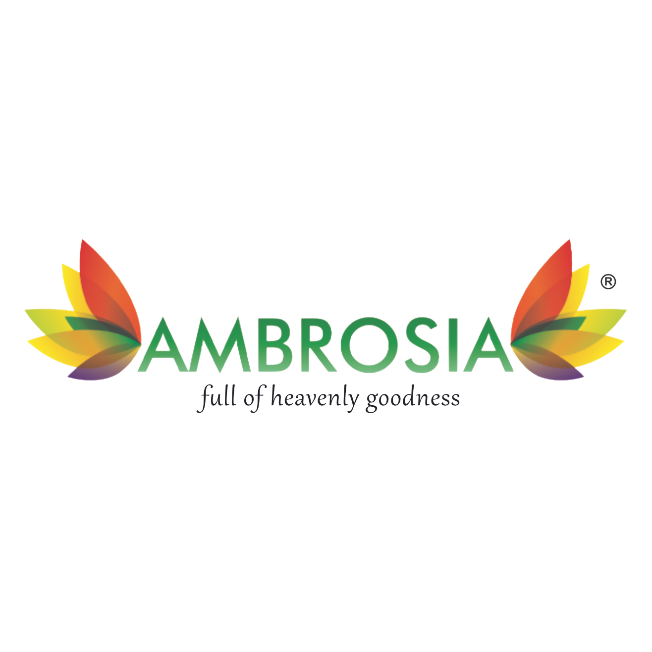 Rice Packaging Bags Manufacturers, Rice Packaging Bags Manufacturers in India