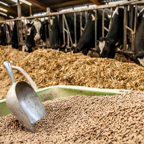 BOPP Packaging Bags Manufacturers, BOPP Packaging Bags Manufacturers in India